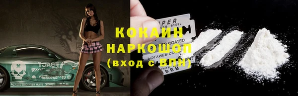 прущие грибы Осинники