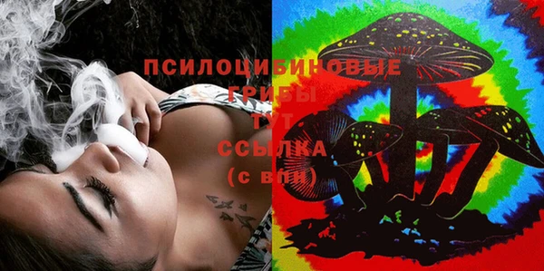 прущие грибы Осинники