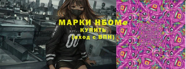 прущие грибы Осинники