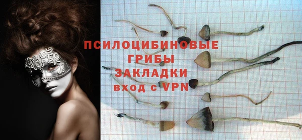 прущие грибы Осинники