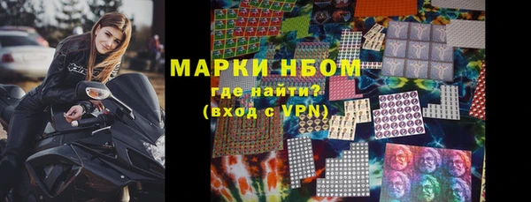прущие грибы Осинники