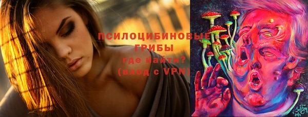 мет Осташков