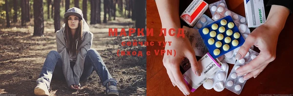 гидропоника Пересвет