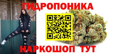 трава Балахна