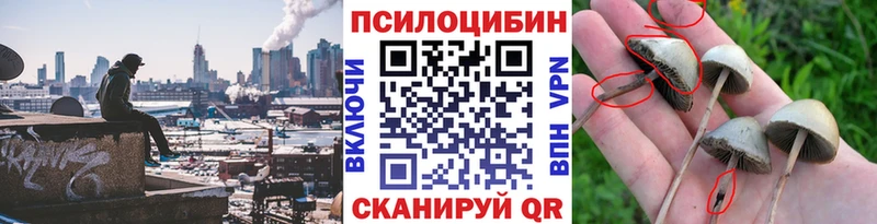 хочу   Переславль-Залесский  Псилоцибиновые грибы GOLDEN TEACHER 
