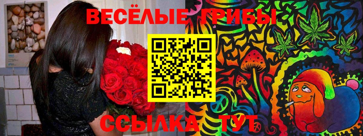 наркота  Галлюциногенные грибы мицелий  Вход с VPN  Переславль-Залесский 