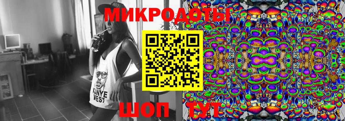 Псилоцибиновые грибы Psilocybine cubensis Переславль-Залесский